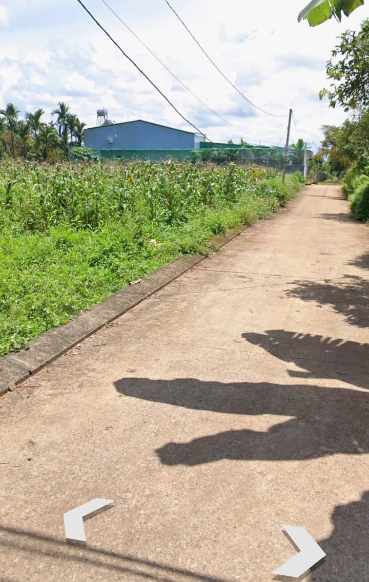 Đất thổ cư Tân An 100m² giá 1.19 tỷ - Đối diện UBND phường, vị trí vàng cho đầu tư!