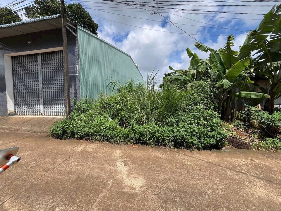 Đất nền hẻm 206 Lê Thánh Tôn, Pleiku 45m² giá 900 triệu - Đầu tư sinh lời ngay!