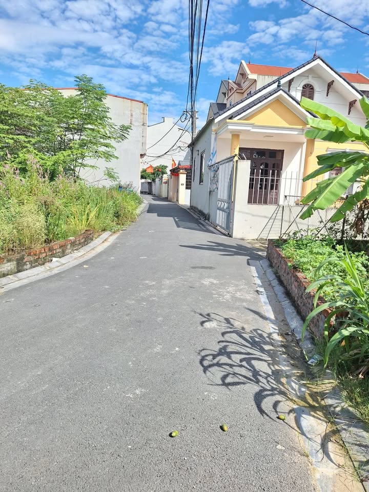 Đất nền Bắc Hồng, Đông Anh 50m² - Sổ đỏ chính chủ, ô tô vào thoải mái!