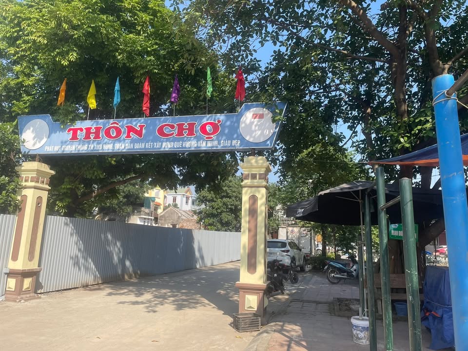 Đất Cổ Loa 48m² giá 3.8 tỷ - Đường ô tô tránh, vị trí đẹp!