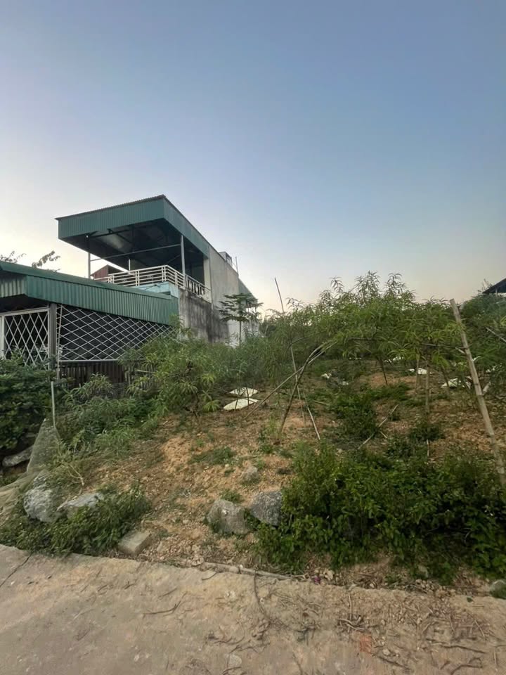 Đất thổ cư 150m² tại Nông Tiến, Tuyên Quang - Giá chỉ 1 tỷ - Cách Đường Việt Bắc 50m!