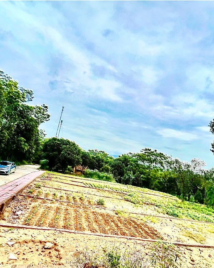 Đất nền Phù Lãng, Quế Võ 360m² giá chỉ 1 tỷ - Cơ hội đầu tư tuyệt vời!