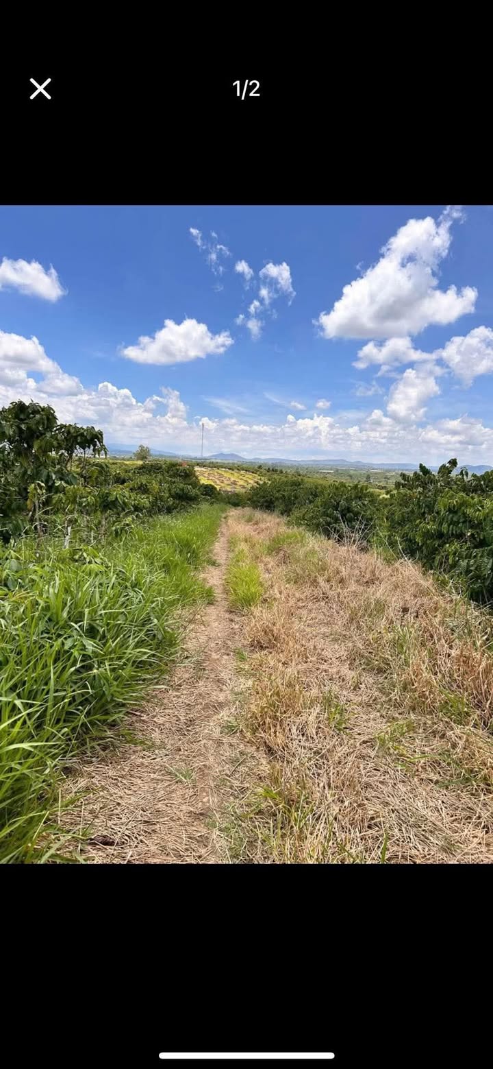 Đất nền Tân Văn Lâm Hà 1000m² giá chỉ 600 triệu - Sổ đỏ chính chủ, đầu tư sinh lời!