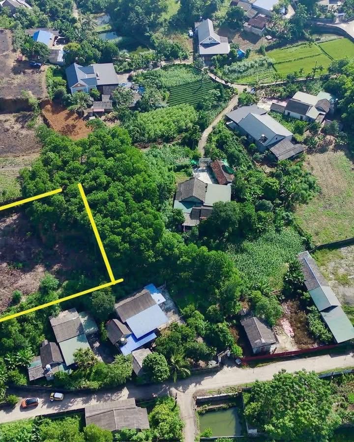 Đất nền Cù Vân, Đại Từ 1000m² giá chỉ 500 triệu - Cơ hội đầu tư tuyệt vời!