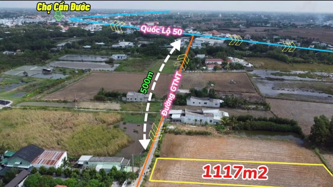 Đất lúa chuyển đổi thổ cư tại Cần Đước 1117m² giá 2.4 tỷ - Cơ hội đầu tư tuyệt vời!