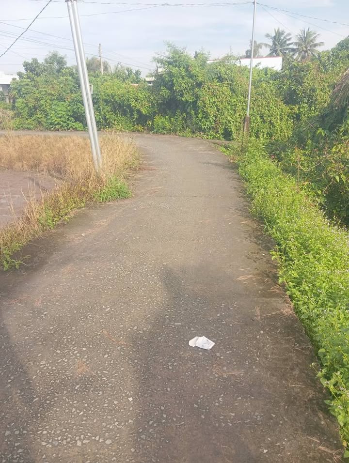 Đất nền mặt tiền ấp 2, xã Mỹ Phú, Thủ Thừa 4.700m² - Cơ hội đầu tư tuyệt vời!