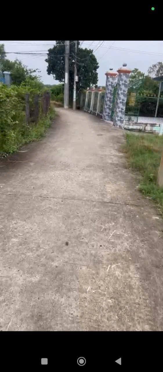 Đất nền 1000m² xã Long Hựu Tây, giá 650 triệu - Cơ hội đầu tư hấp dẫn!