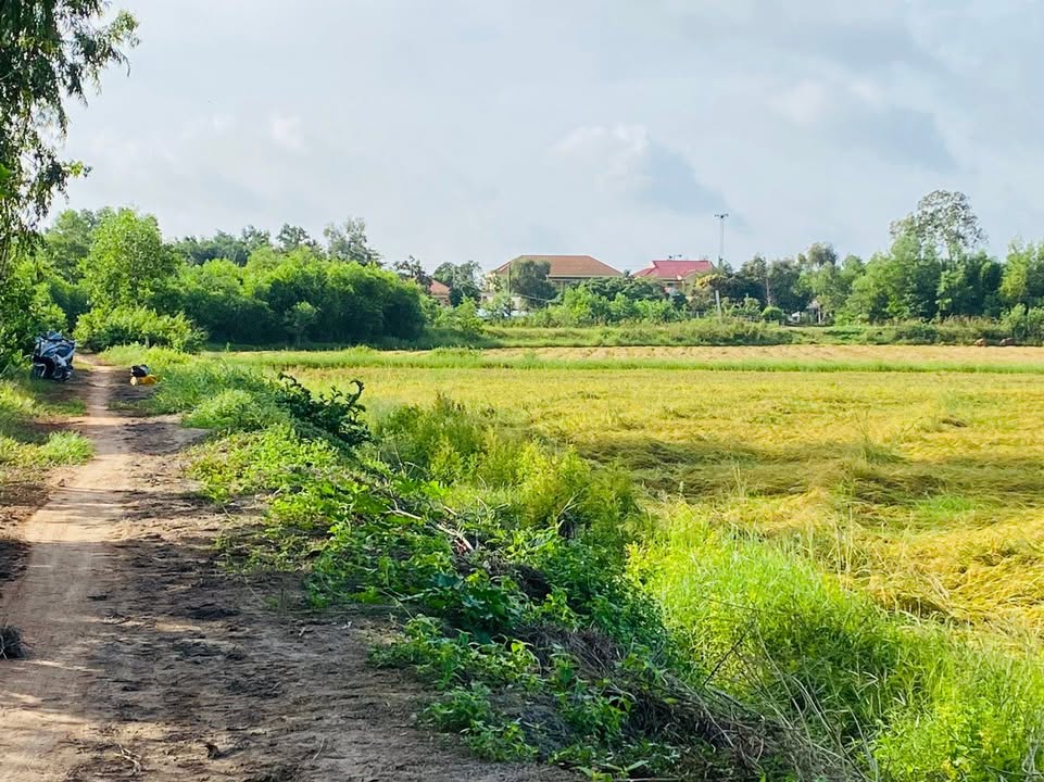 Đất nền 10000m² tại Bình Hòa Hưng, Đức Huệ chỉ 2.1 tỷ - Giao dịch nhanh chóng!