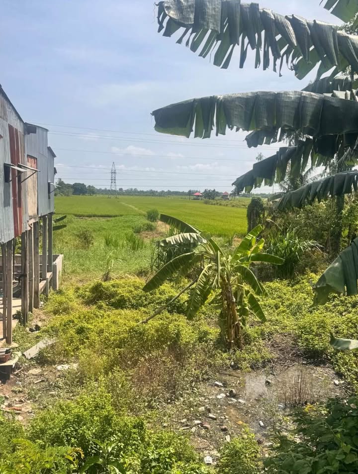 Đất nền mặt tiền 957 Đa Phước 1,329m² giá tốt - Đầu tư sinh lời ngay!