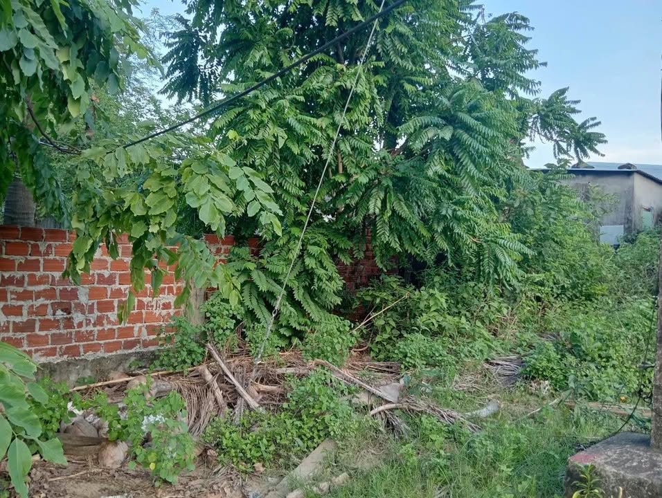 Lô đất đẹp tại Đà Nẵng 80m² giá 1 tỷ - Gần biển Nam Ô