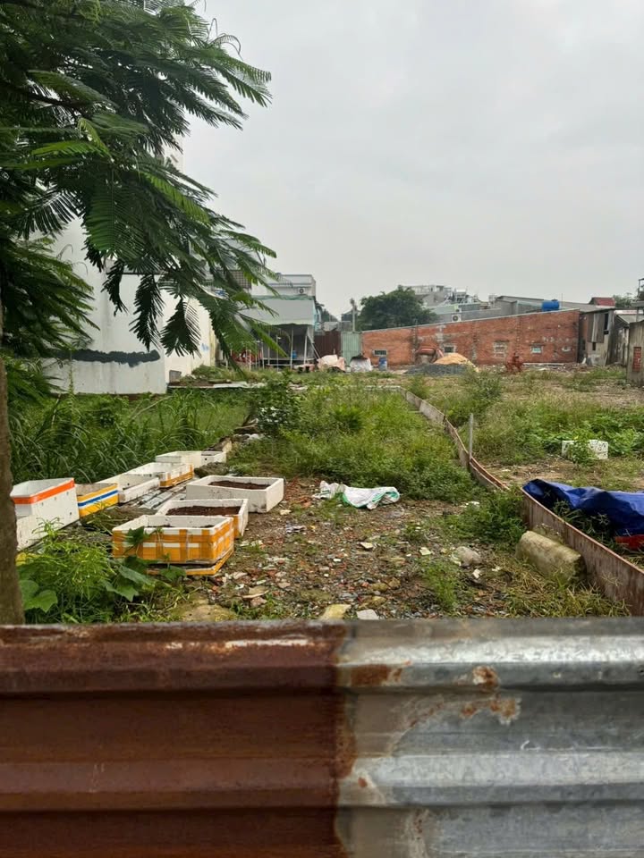 Đất mặt tiền Nguyễn Thị Tràng, Quận 12, 88m² giá 6.55 tỷ - Cơ hội đầu tư tuyệt vời!