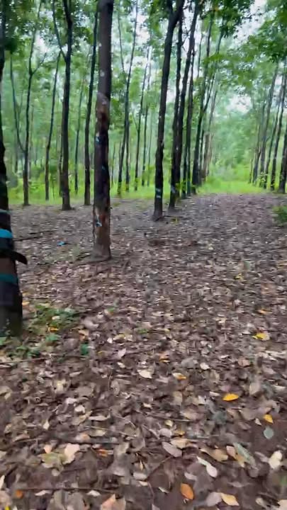 Đất Lộc Thái 2880m² giá 1.3 tỷ - Gần chợ, cơ hội đầu tư sinh lời!