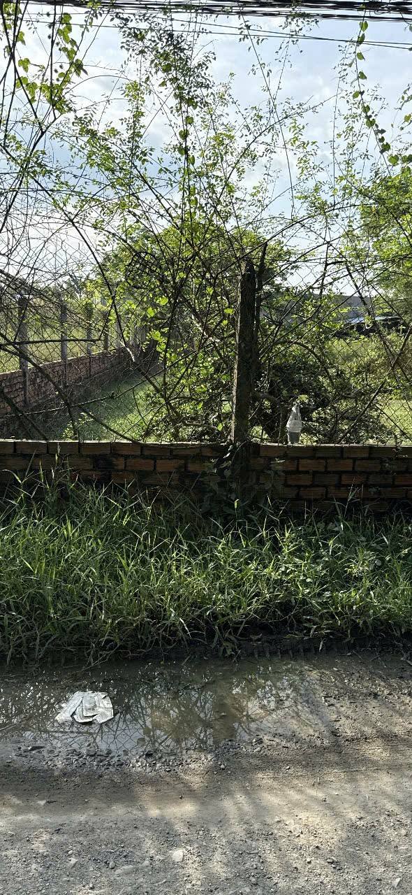 Đất nền Lục Viên, Đức Hòa 963m² giá 4.8 tỷ - Phù hợp xây dựng nhà vườn!