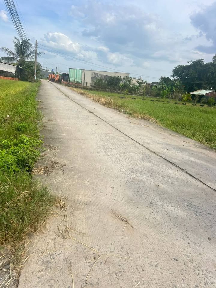 Đất nền 2160m² tại Mỹ Hạnh Bắc, Đức Hòa - Giá chỉ 4.5 tỷ, sổ hồng riêng