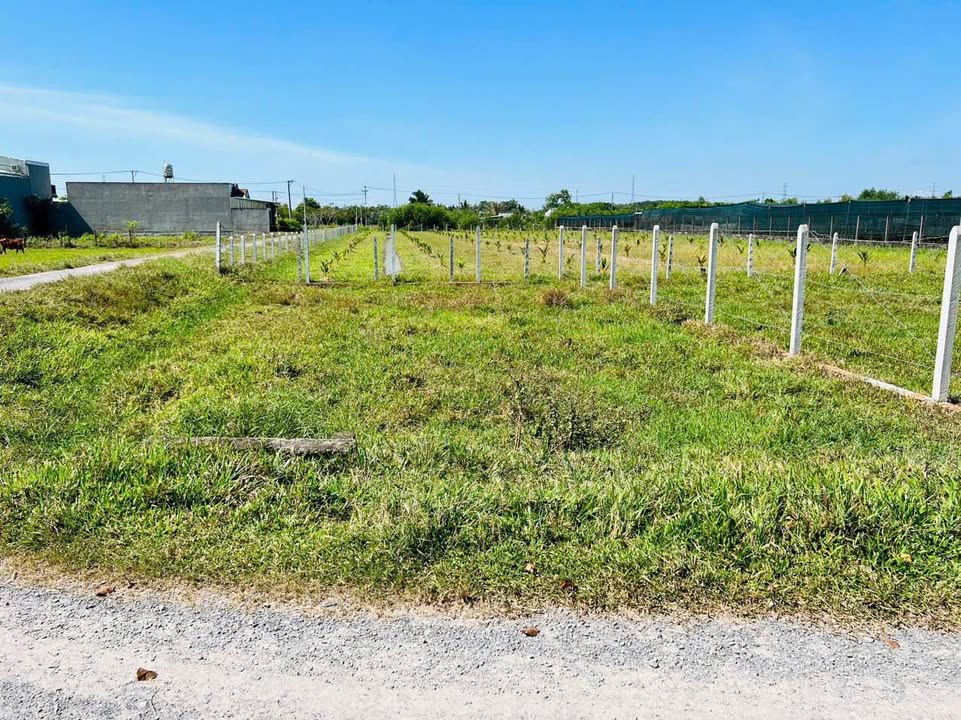 Đất nền Tân An Hội, Củ Chi 237m² giá 2 tỷ - Đất góc 2 mặt tiền, sổ đỏ chính chủ!