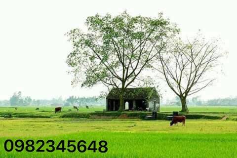 Đất Long Hải 118m² giá 1.5 tỷ - Hướng Đông Bắc, gần biển