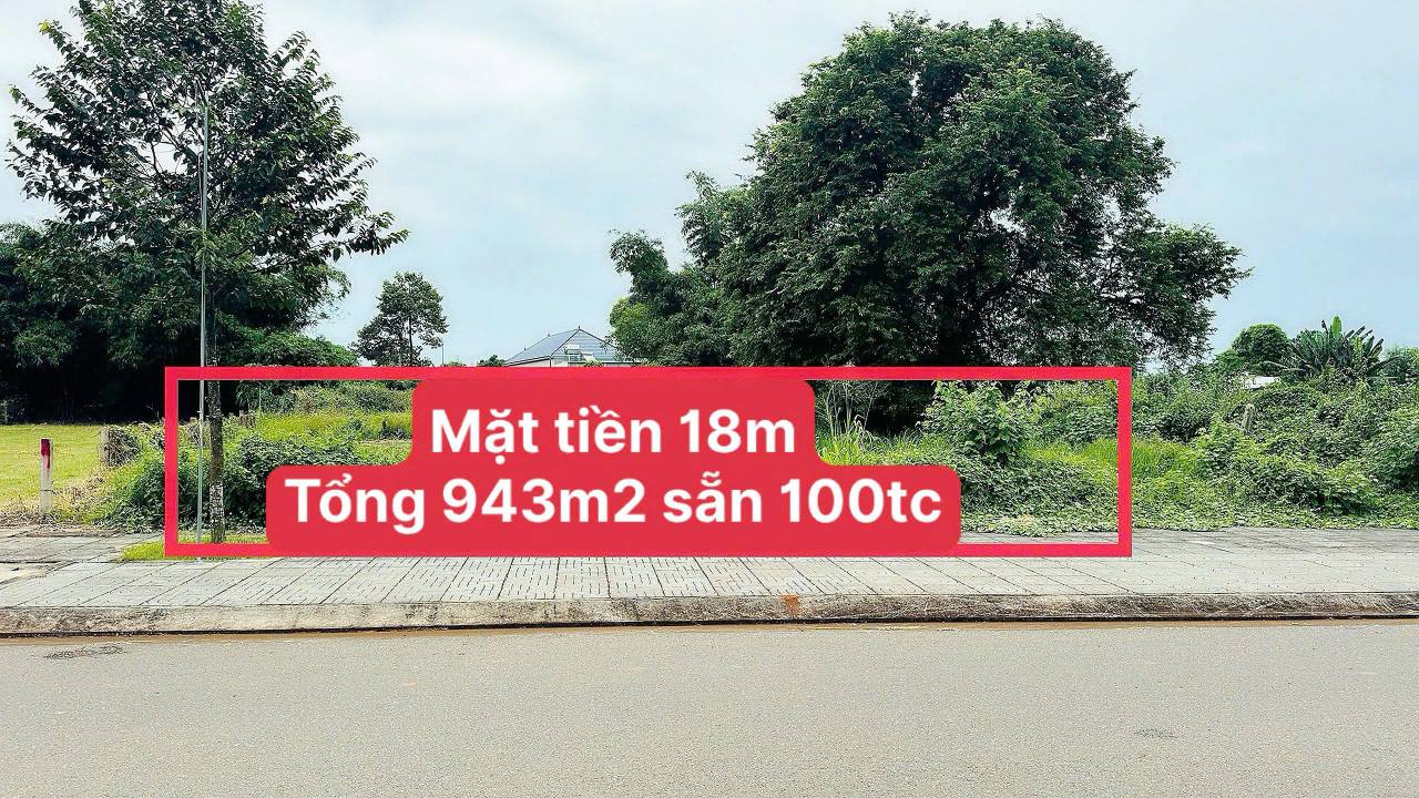 Đất nền mặt tiền Tạ Văn Sáu Đất Đỏ 943m² giá 4.2 tỷ - Cơ hội đầu tư tuyệt vời!