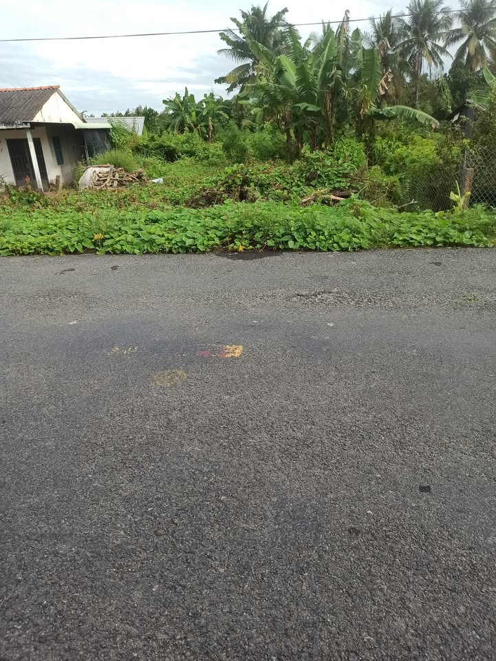 Đất nền 215m² tại ấp Hòa Phúc, xã Cái Bè giá chỉ 3 tỷ - Cơ hội đầu tư lý tưởng!