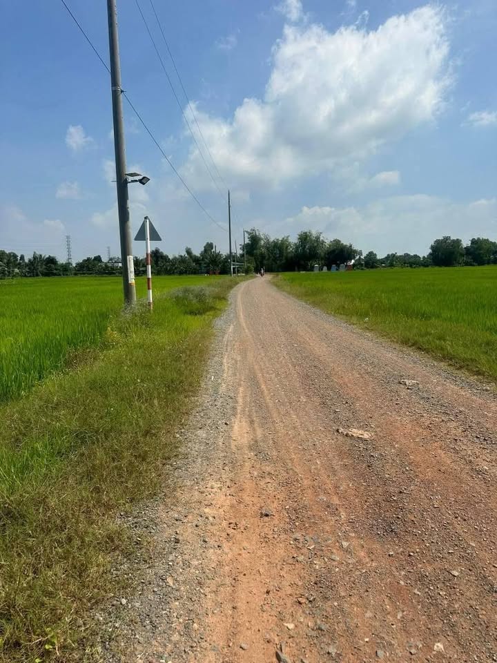 Đất thổ cư 1000m² tại Xã Phước Tuy, Cần Đước - Giá 2.3 tỷ, xe tải vào tận nơi!