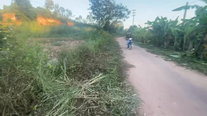 Đất vườn Đồng Tâm Yên Thế 9400m² giá ưu đãi - Cơ hội đầu tư tuyệt vời!