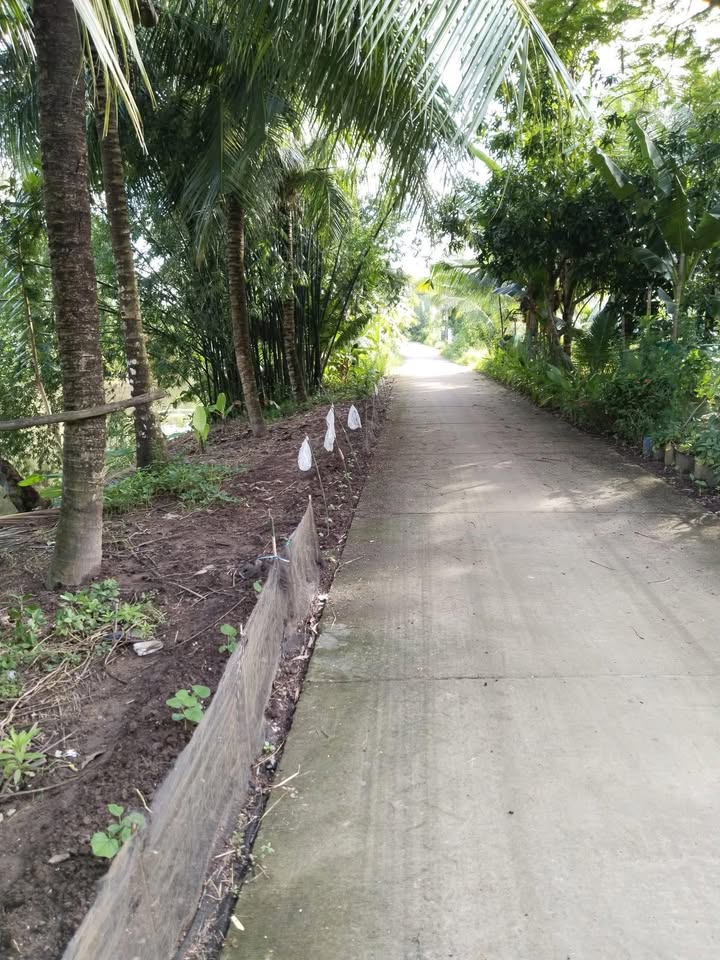 Đất thổ cư 175m² tại Ấp Thanh Nhàn, Sóc Trăng - Giá chỉ 290 triệu