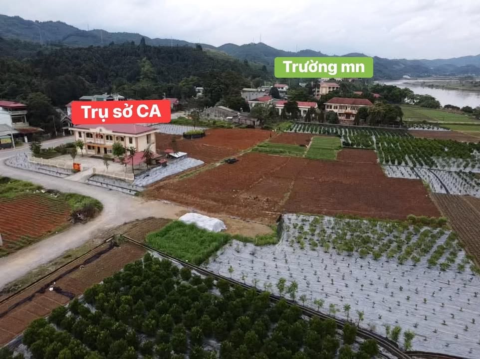 Lô đất biệt thự TĐC Sơn Hải 300m² giá 1.3 tỷ - Hướng siêu mát, view vườn cây tuyệt đẹp!