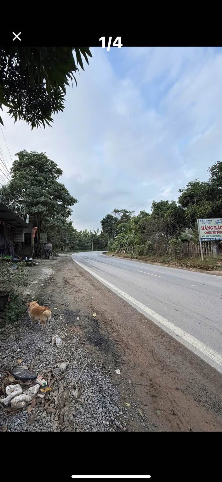 Đất thổ cư 104m² Km9 Bản Cầm giá 1.29 tỷ - Mặt tiền 10m, vị trí đắc địa!