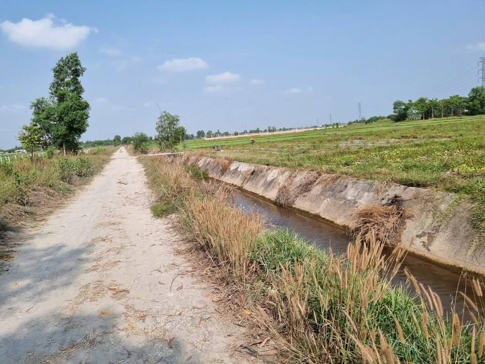 Đất thổ cư xã Thái Mỹ, Củ Chi 1756m² giá 2.15 tỷ - Gần tỉnh lộ 7, thương lượng nhẹ!