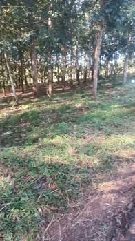 Đất nền 4.4ha tại ĐT 760, xã Đa Kia - Giá 10.25 tỷ - Tiềm năng phát triển lớn!