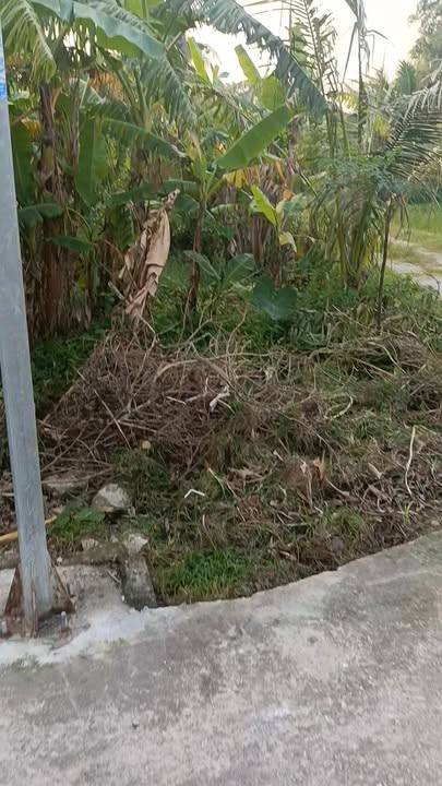 Đất nền Quảng Văn 210m² giá 500 triệu - Đầu tư sinh lời ngay!