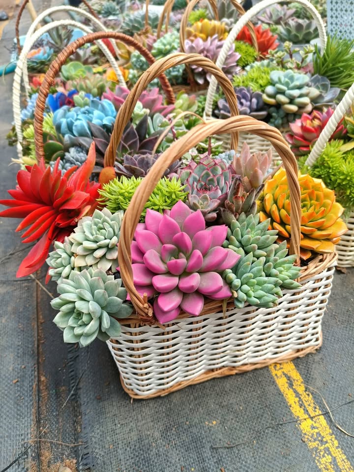 Nhà mới 160m² đường Nguyễn Hoàng Đà Lạt chỉ 2.05 tỷ - Sẵn sàng vào ở ngay!