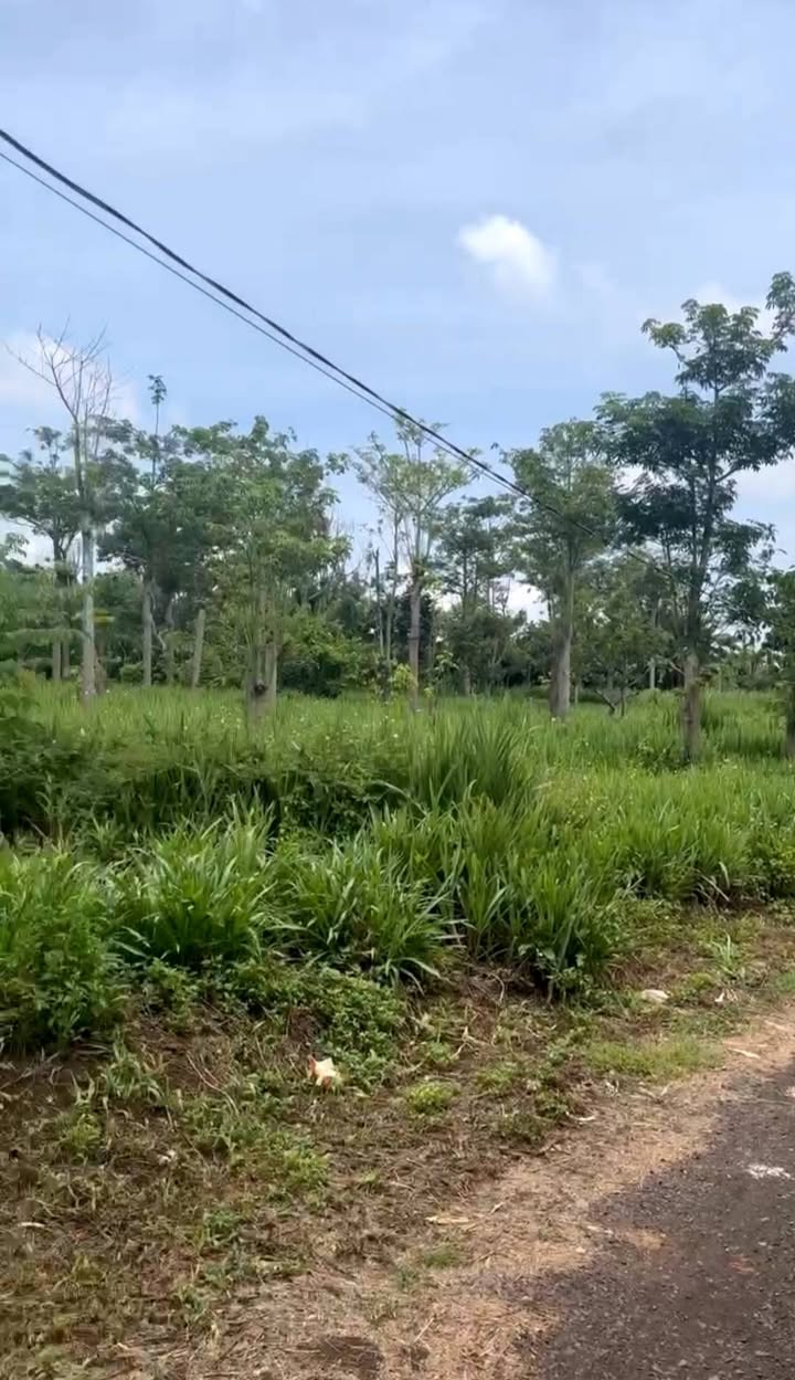 Bán đất thổ cư hẻm Đinh Văn Gió - Buôn Hồ 165m² giá chỉ 448 triệu - Pháp lý rõ ràng!