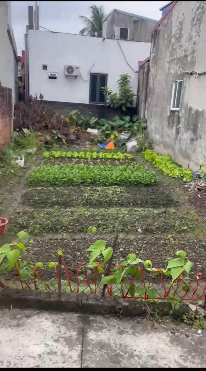 Đất nền Cống Mỹ, Nam Sơn, An Dương 65.5m² giá chỉ 1.38 tỷ - Cơ hội đầu tư tuyệt vời!