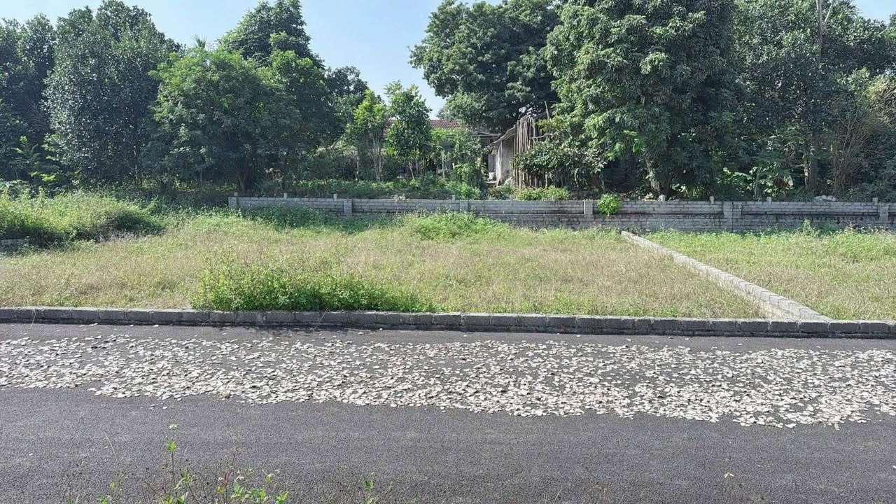 Đất nền Tùng Thiện, Sơn Tây 100m² giá 1.1 tỷ - Cơ hội đầu tư tuyệt vời!