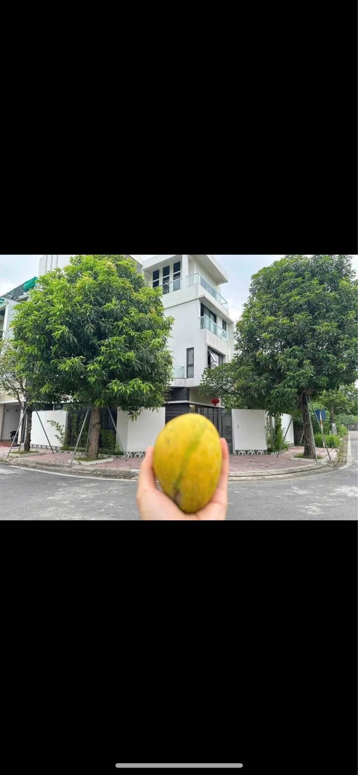 Biệt thự góc Khu đô thị Thống Nhất Nam Định 210m² giá 22 tỷ - Đồ nội thất đầy đủ!