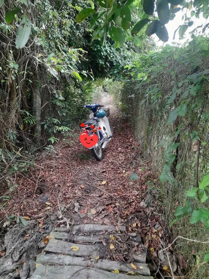 Bán đất vườn Long Hậu 3000m² giá 780 triệu - Đất sạch, sổ đỏ chính chủ!