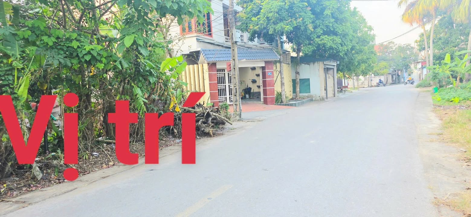 Đất thổ cư xã Hoằng Lộc 133,5m² giá chỉ 1,1 tỷ - Mặt tiền rộng, vị trí đắc địa!