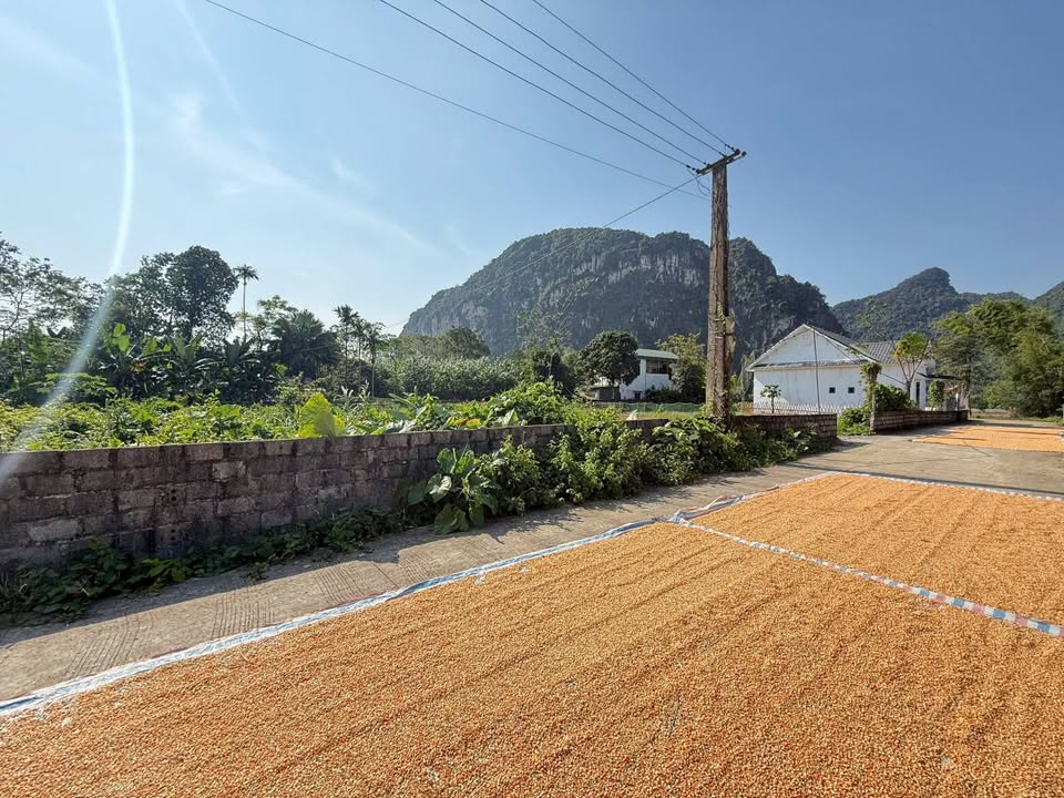 Đất thổ cư Nam Thượng Kim Bôi 146m² giá chỉ 500 triệu - Cơ hội đầu tư tuyệt vời!