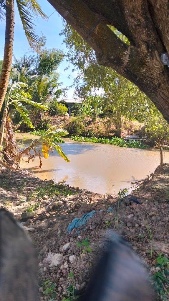 Đất nông nghiệp 30 công tại Vĩnh Điều, Giang Thành - Giá chỉ 1.08 tỷ, đầu tư hiệu quả!