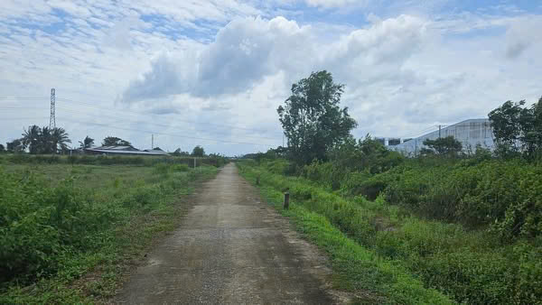 Đất nền Bàu Đồn, Gò Dầu 126m² chỉ 720 triệu - Sát KCN Phước Đông, đầu tư sinh lời ngay!