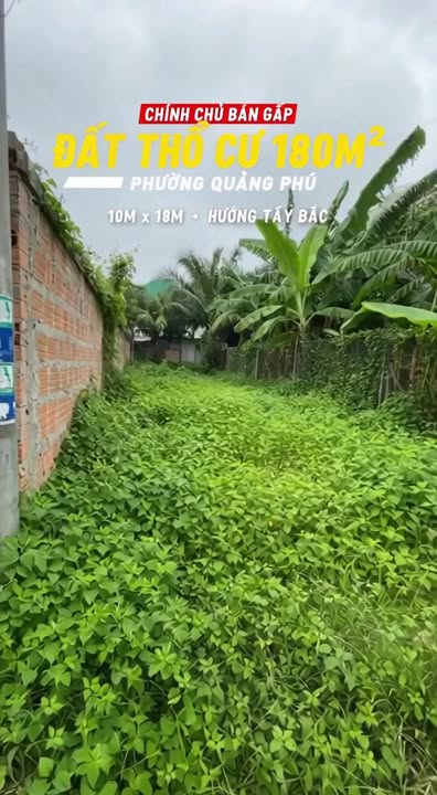 Đất thổ cư 180m² tại Quảng Phú chỉ 800 triệu - Đầu tư sinh lời ngay!