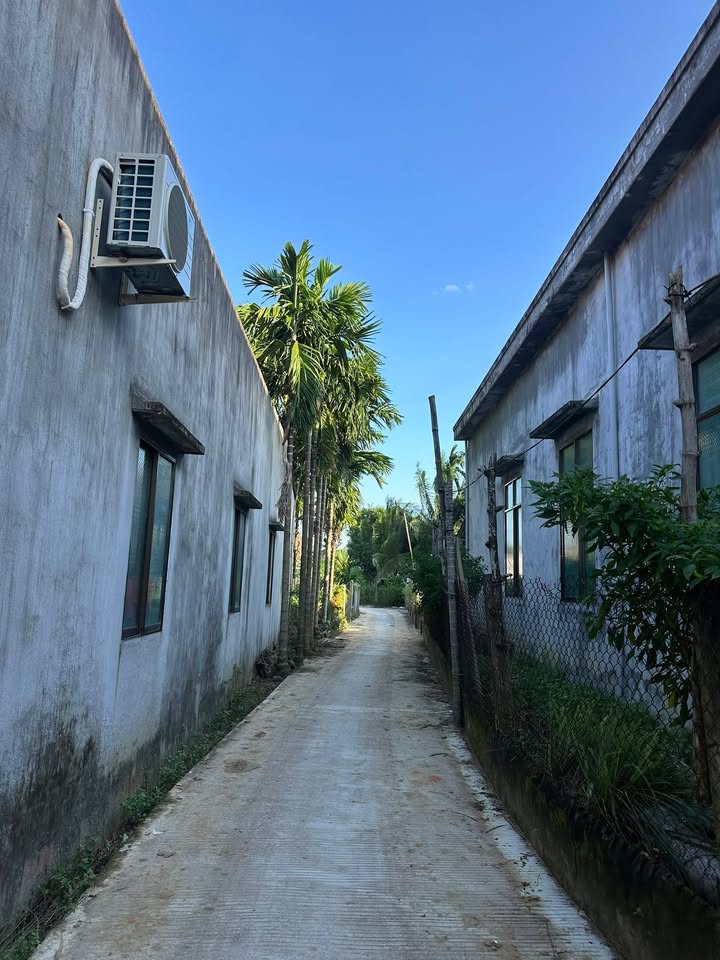 Đất nền Trương Quang Trọng, Quảng Ngãi 101.5m² giá 800 triệu - Pháp lý rõ ràng