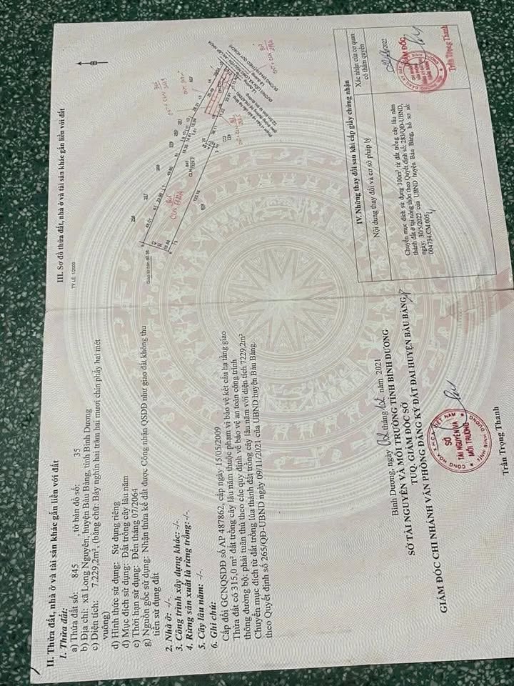 Đất nền 6000m² mặt tiền đường DH 619, xã Long Nguyên - Cơ hội đầu tư tuyệt vời chỉ 4 tỷ!