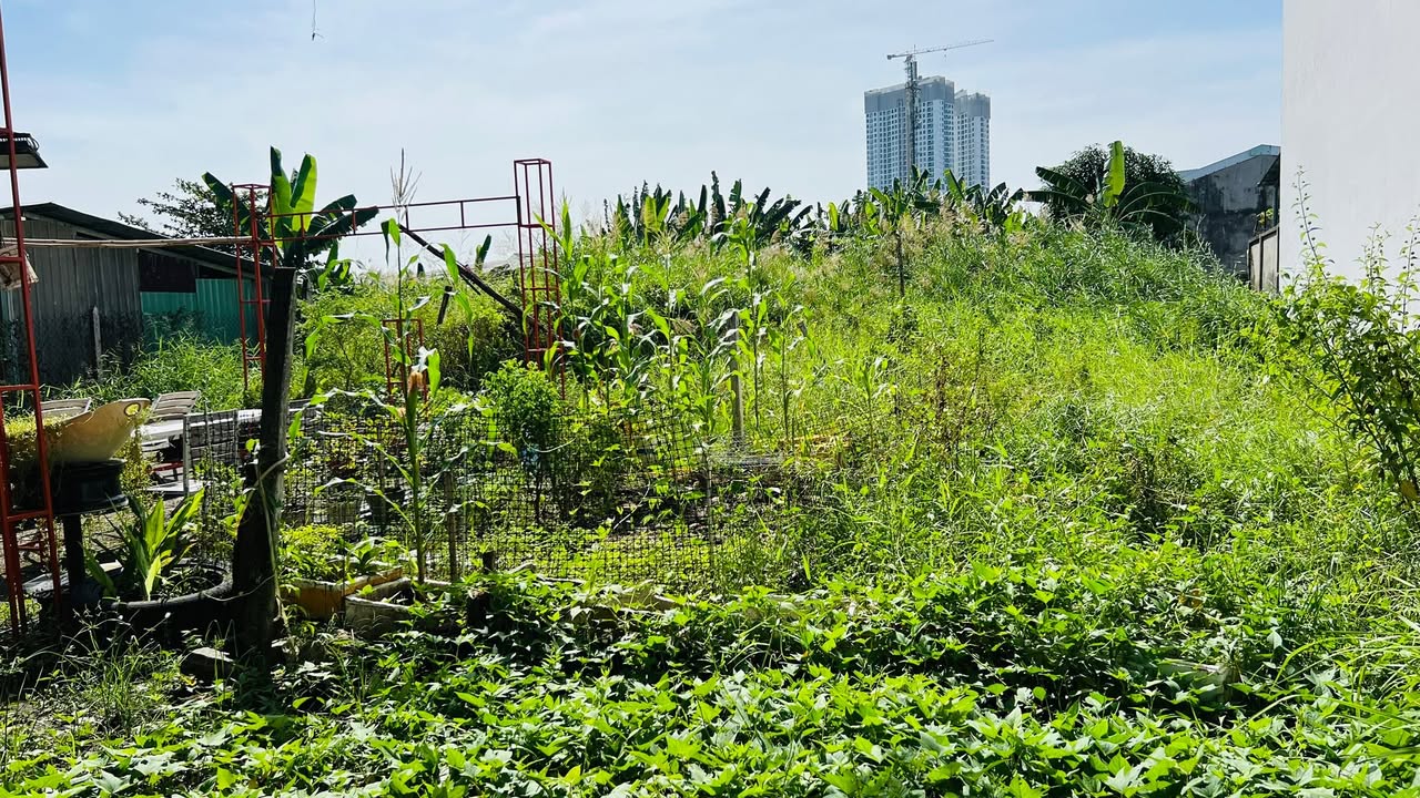 Đất thổ cư Vĩnh Phú, Thuận An 188.6m² giá 5.1 tỷ - Vị trí đắc địa gần TP.HCM!