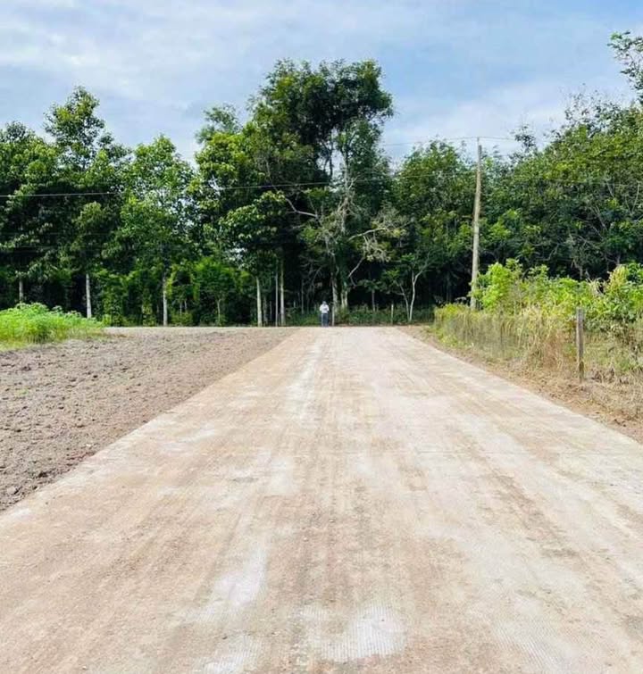 Đất thổ cư xã Tân Lập, huyện Đồng Phú, 400m² chỉ 310 triệu - Sổ đỏ chính chủ!