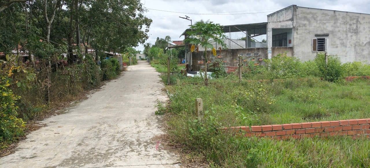 Đất thổ cư Phước Thạnh Gò Dầu 250m² giá chỉ 500 triệu - Đường bê tông thông thoáng!