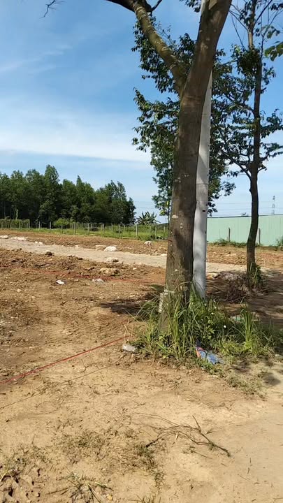 Đất nền Tân Triều Biên Hòa 98m² giá 1.599 tỷ - Sổ hồng riêng từng nền!