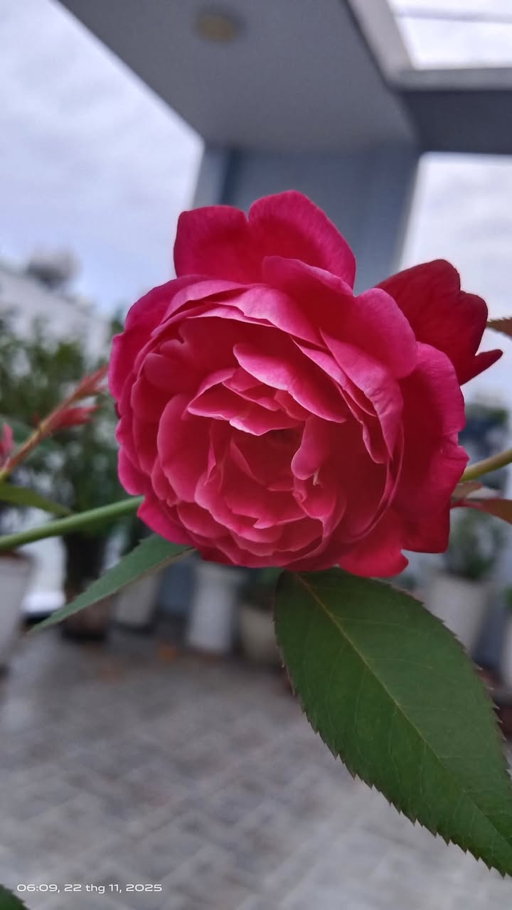 Đất nền Xuân Đông, Chợ Gạo 104m² giá chỉ 229 triệu - Cơ hội đầu tư tuyệt vời!