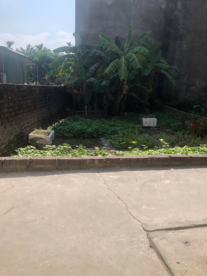 Đất nền Vân Canh 60m² giá thỏa thuận - Pháp lý chuẩn sổ đỏ