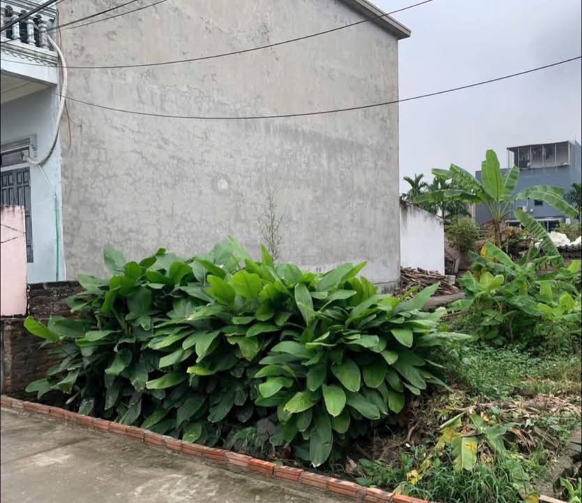 Đất Thượng Cát, Bắc Từ Liêm 60m² giá 6.2 tỷ - Đầu tư sinh lời bền vững!